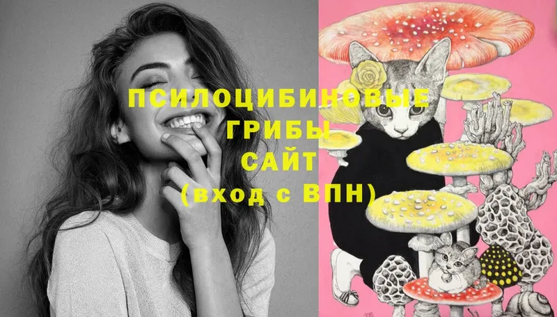 где найти наркотики  Абдулино  Псилоцибиновые грибы Psilocybine cubensis 